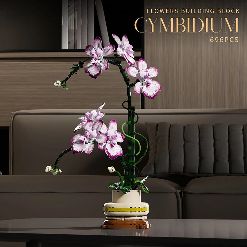 Orchidées Différentes Couleurs